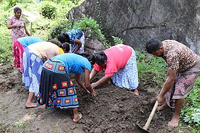 Anbau gesunder Lebensmittel in Sri Lanka