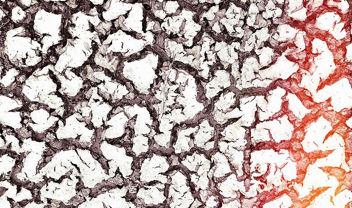Illustration Fragmente (Foto: medico)