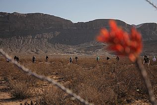 Aktivist:innen und Angehörige von Verschwundenen durchkämmen ein Wüstenstück im Norden von Mexiko. (Foto: Favia Lucero)