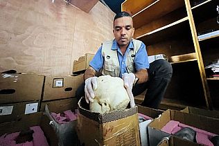 Mohammed Abu Lehia, Gründer und Direktor der Mayasem Association for Culture and Arts, Gaza