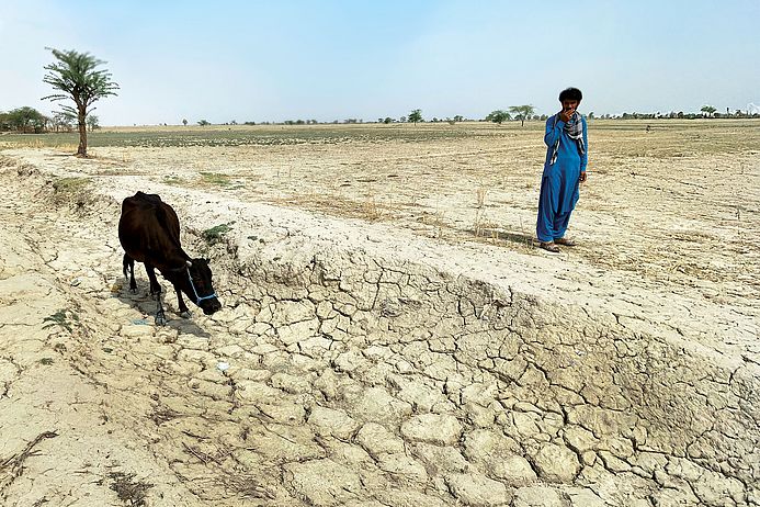 ausgetrocknetes Feld in Pakistan