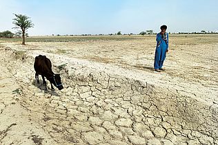 ausgetrocknetes Feld in Pakistan